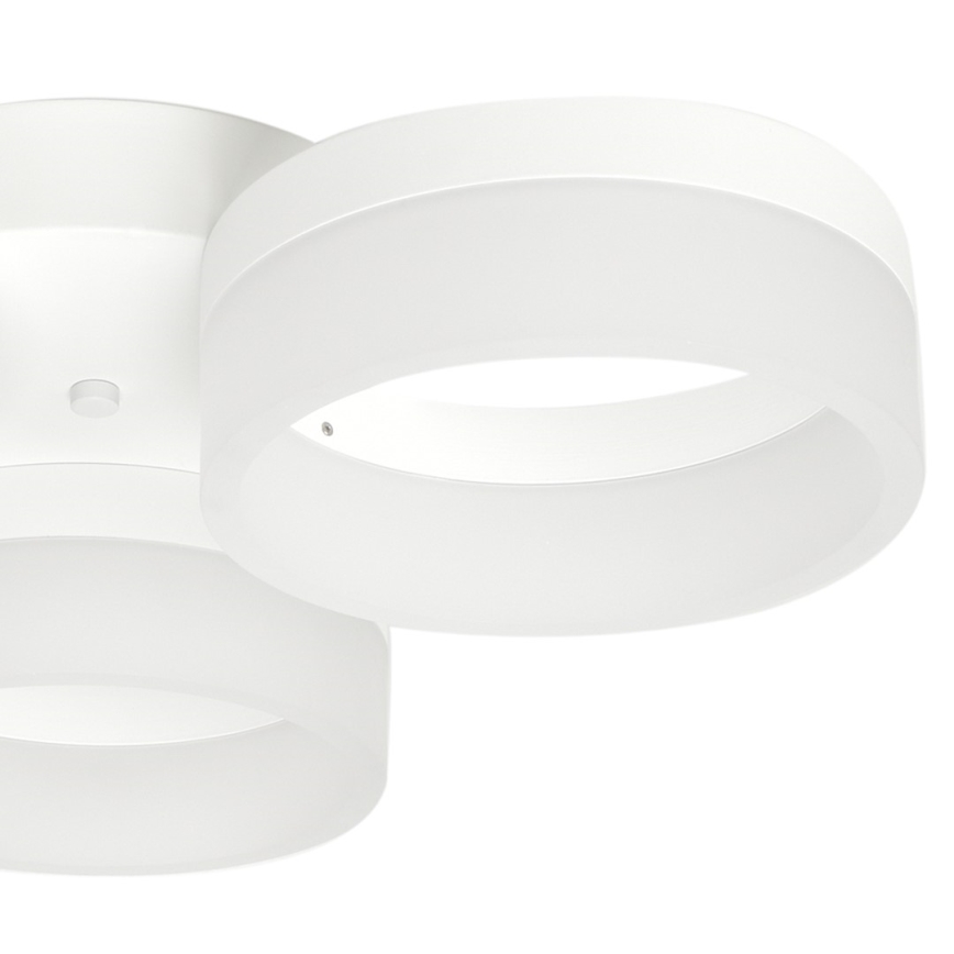 Luz de teto LED RING 3xLED/12W/230V branco