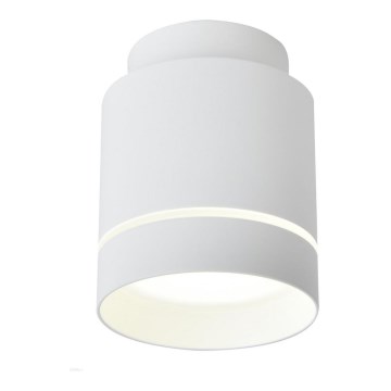 Luz de teto LED TUBA LED/12W/230V