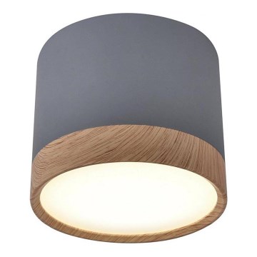 Luz de teto LED TUBA LED/9W/230V