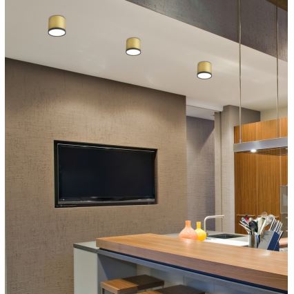 Luz de teto LED TUBA LED/9W/230V