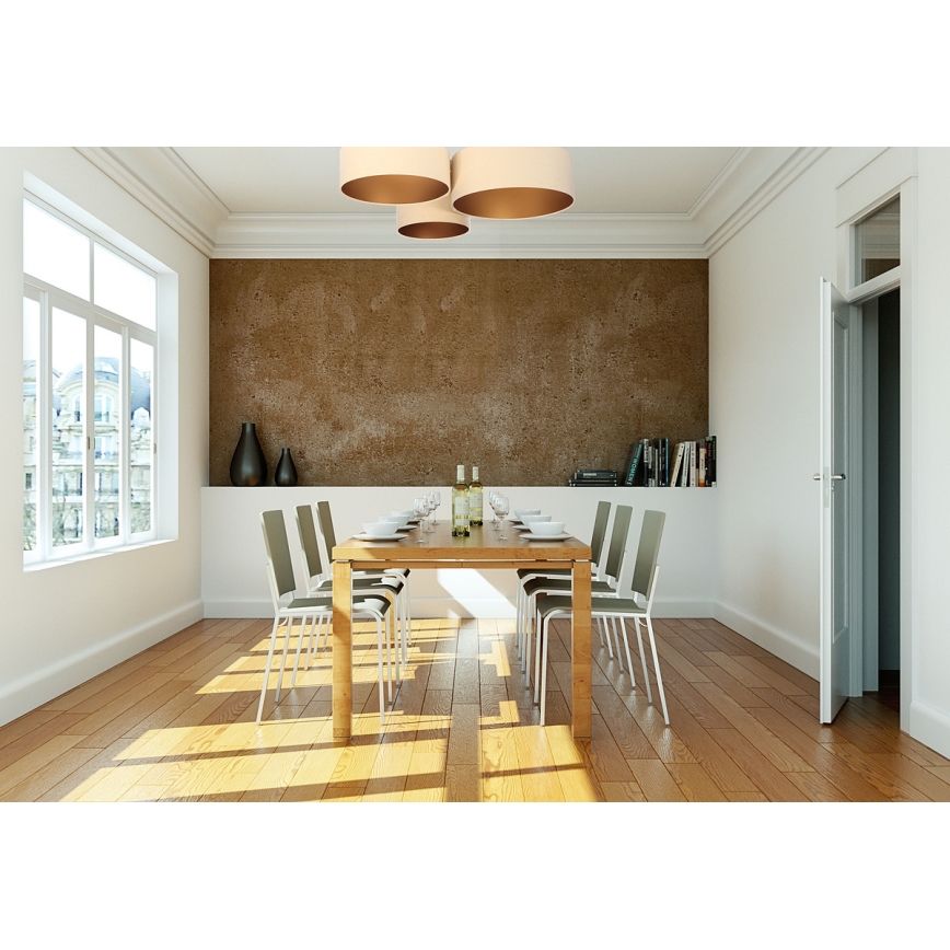 Luz de teto SPACE 3xE27/60W/230V