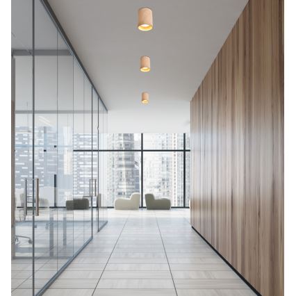 Luz de teto TUBA GU10/15W/230V