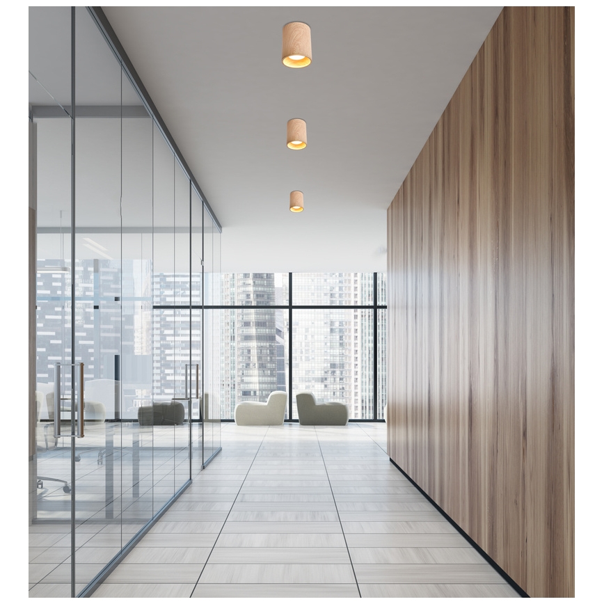 Luz de teto TUBA GU10/15W/230V