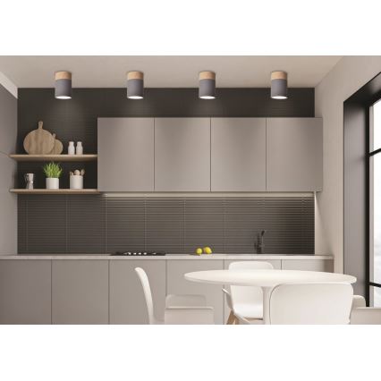 Luz de teto TUBA GU10/15W/230V