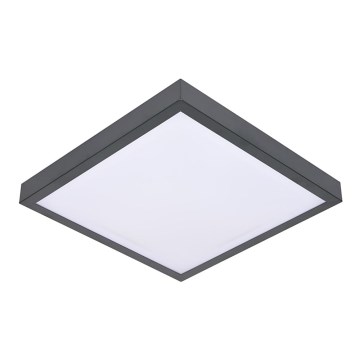 Luz de teto VITAL 2xE27/60W/230V antracite