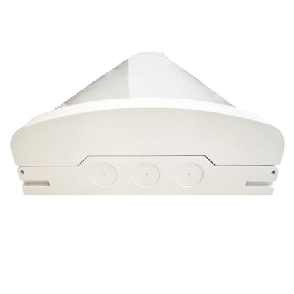 Luz fluorescente LED regulável LED/35W/44W/52W/60W/230V 4000K 120 cm