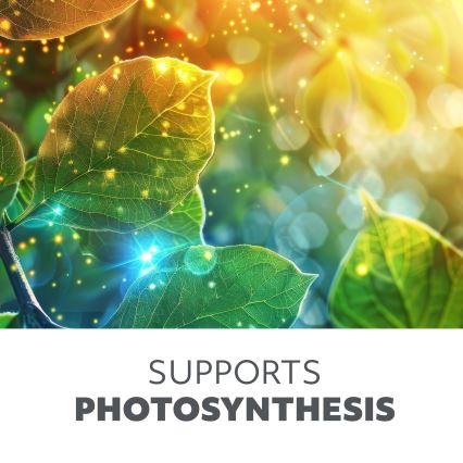 Luz LED para crescimento de plantas PLANTY E27/8W/230V 1200K