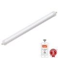 Luz LED regulável para trabalhos pesados LED/40W/230V 3000-6500K Wi-Fi Tuya IP65