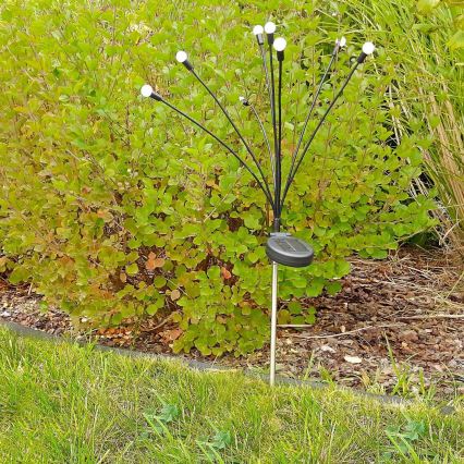 Luz Solar LED FIORINI 8xLED/1,2V 600 mAh IP44 preto