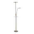 Markslöjd 107009 - Candeeiro de chão fosco LED FRIEND LED/18W/230V + LED/5W