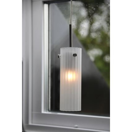 Markslöjd 109014 - Lustre suspenso por cabo TIBIA 1xE14/40W/230V latão