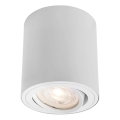 Markslöjd 109020 - Spot LED dimerizável DIRETTO LED/5W/230V CRI 90 branco