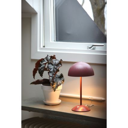 Markslöjd 109142 - Candeeiro de mesa ZIN 2xG9/20W/230V rosa