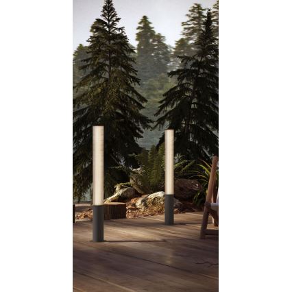 MAXLIGHT F0065 - Candeeiro de exterior LED GARDENIA LED/25W/230V 105 cm CRI 93 IP65 antracite