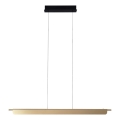 MAXLIGHT P0596 - Lustre LED dimerizável suspenso por cabo JO-JO LED/40W/230V 2700/4500/5500K dourado