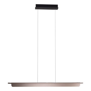 MAXLIGHT P0597 - Candeeiro de teto LED dimmerizável com cabo JO-JO LED/40W/230V 2700/4500/5500K antracite