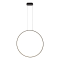 MAXLIGHT P0654 - Lustre LED para casa de banho suspenso por cabo VISUAL VER, LED/28W/230V, IP44, branco