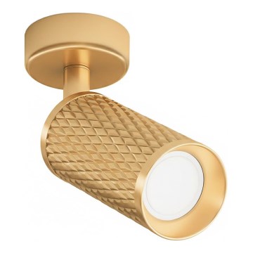 Maytoni C034CL-01G - Spot FOCUS 1xGU10/10W/230V dourado