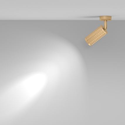 Maytoni C034CL-01G - Spot FOCUS 1xGU10/10W/230V dourado