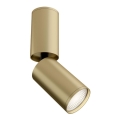Maytoni C051CL-01MG - Foco FOCUS 1xGU10/10W/230V dourada