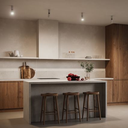 Maytoni C051CL-01W - Foco FOCUS 1xGU10/10W/230V branco