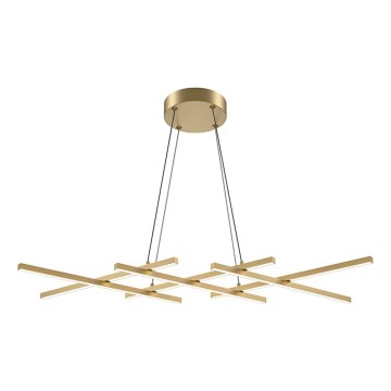 Maytoni MOD244PL-L50BSK - Lustre LED suspenso por cabo HALO LED/40W/230V dourado