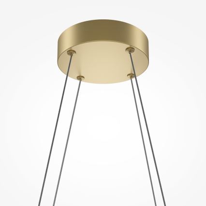 Maytoni MOD244PL-L50BSK - Lustre LED suspenso por cabo HALO LED/40W/230V dourado