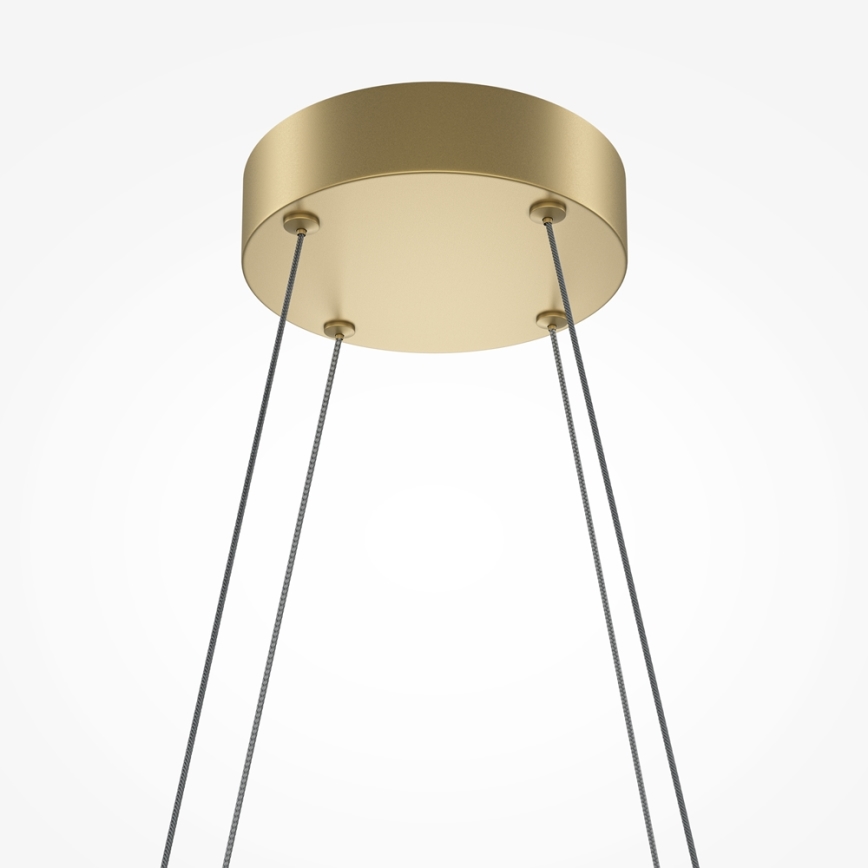 Maytoni MOD244PL-L50BSK - Lustre LED suspenso por cabo HALO LED/40W/230V dourado