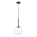 Maytoni MOD321PL-01B1 - Candeeiro suspenso BASIC 1xE14/40W/230V preto