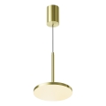Maytoni P076PL-L12W3K-BS - Candeeiro suspenso LED PLATO LED/12W/230V 3000K dourado