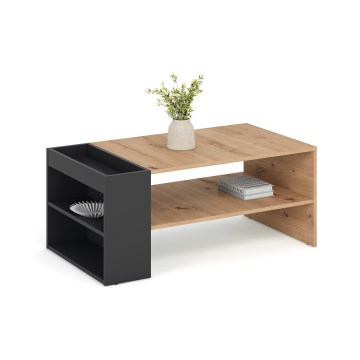 Mesa de centro BELA 100 x 42 cm, carvalho artisan/antracite