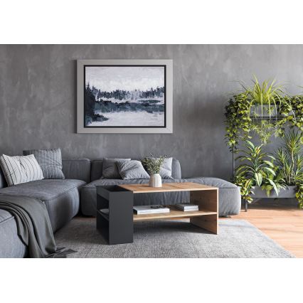 Mesa de centro BELA 100 x 42 cm, carvalho artisan/antracite
