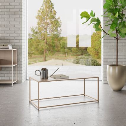 Mesa de centro SARON 100x50 cm cinzenta