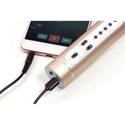 Microfone de karaoke 6W/5V 1500 mAh Bluetooth dourado
