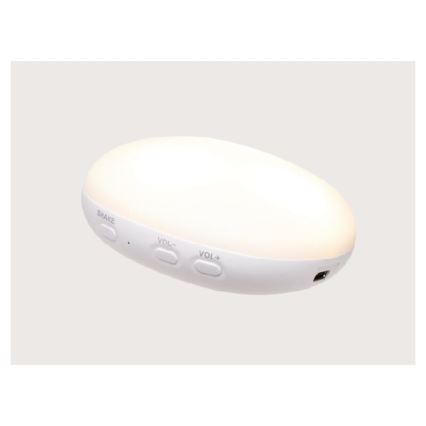 Moonie - Amigo aconchegante com melodia e iluminação 2.0 coelho sky