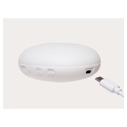 Moonie - Amigo aconchegante com melodia e iluminação 2.0 coelho sky