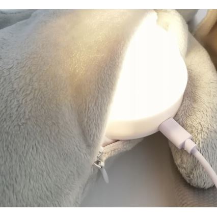 Moonie - Companheiro de aconchego com uma melodia e urso com luz prateado