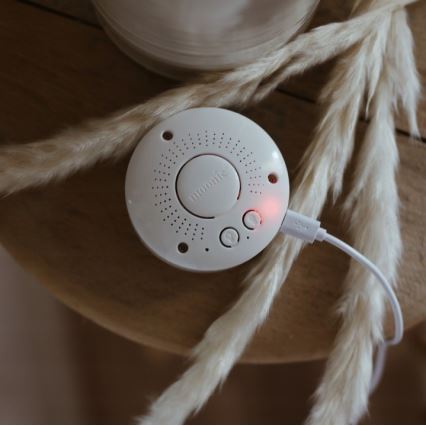 Moonie - Companheiro de aconchego com uma melodia e urso com luz prateado