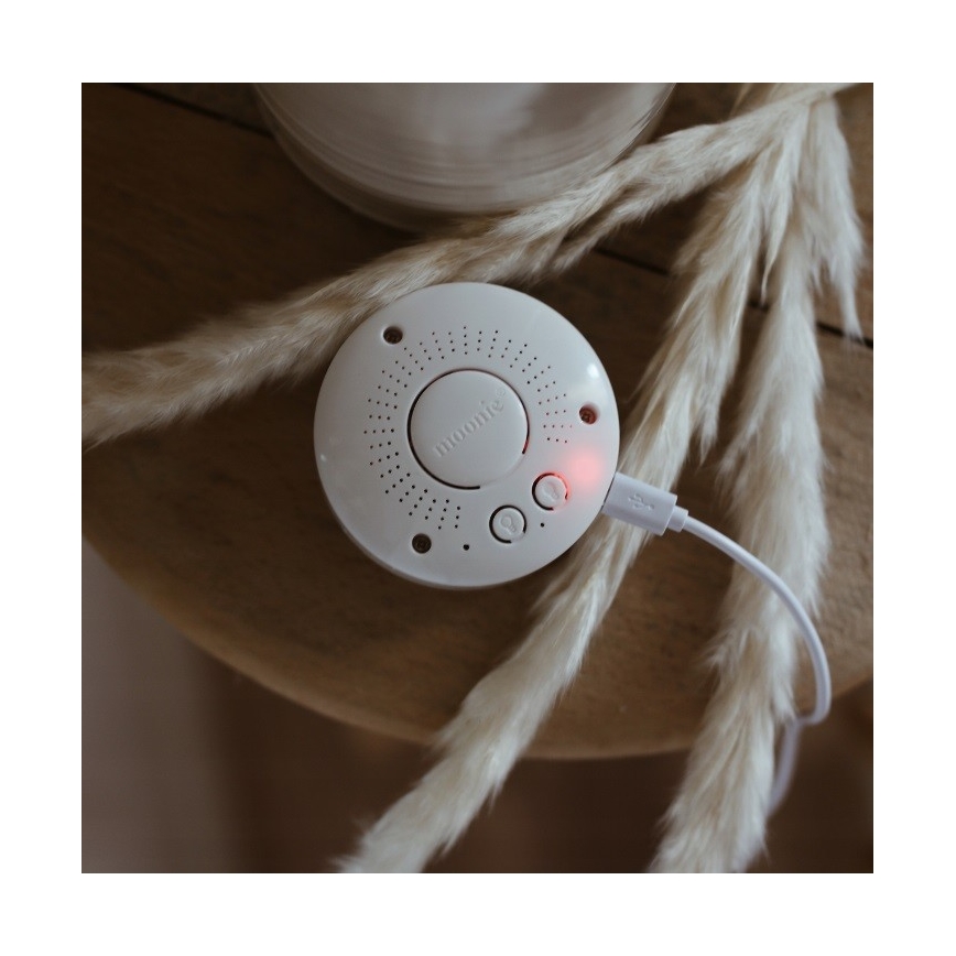 Moonie - Companheiro de aconchego com uma melodia e urso com luz prateado