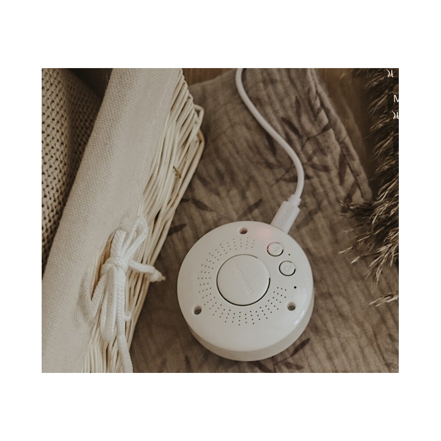 Moonie - Um coelho amigo aconchegante com melodia e iluminação