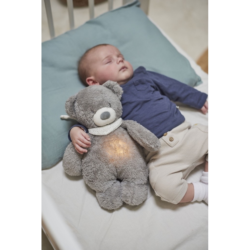 Nattou - Amigo aconchegante com melodia e iluminação SLEEPY BEAR 4em1 cinzento