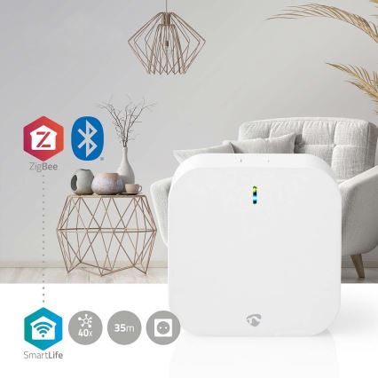 Portal inteligente SmartLife Wi-Fi Zigbee