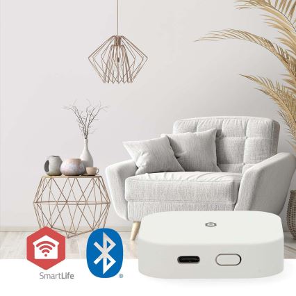 Gateway inteligente SmartLife 5V Wi-Fi