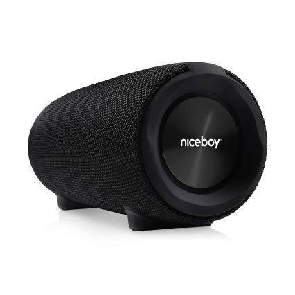 Niceboy Titan 4 - Coluna LED sem fios com microfone e power bank 50W/4000 mAh IPX7 preto