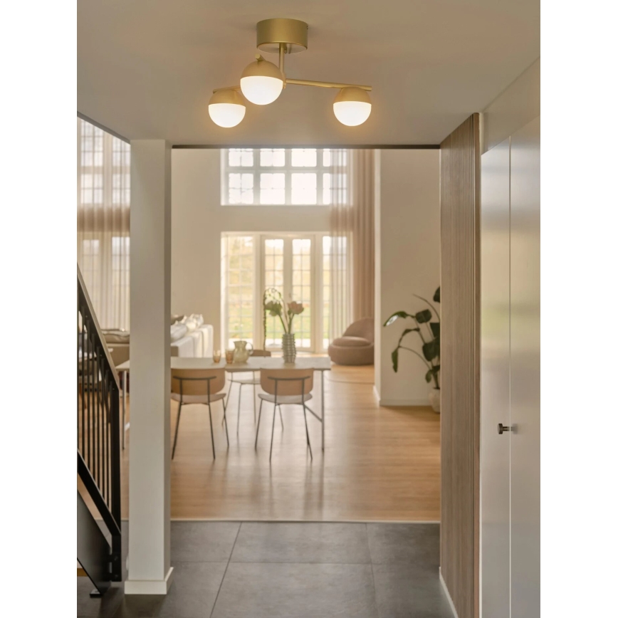 Nordlux - Candeeiro integrado CONTINA 3xG9/5W/230V latão