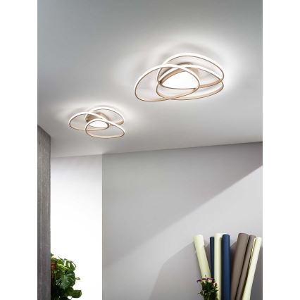 Ondaluce - Candeeiro de tecto LED dimerizável ROSE LED/60W/230V 50x54 cm dourado