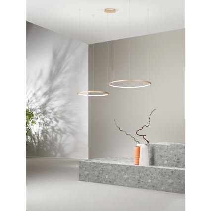 Ondaluce - Lustre LED regulável suspenso por cabo SOEL LED/28W/230V + LED/38W diâmetro 80/60 cm dourado