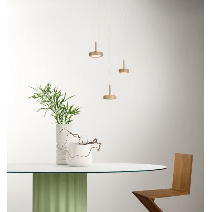Ondaluce - Lustre LED suspenso por cabo NINA LED/20W/230V Ø 19 cm dourado