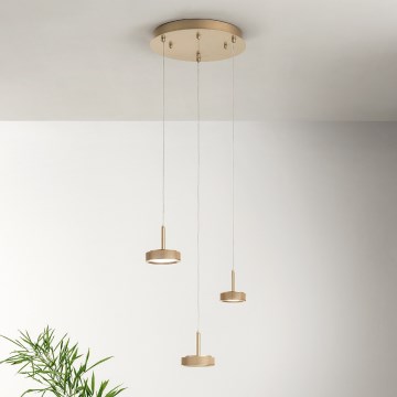 Ondaluce - Lustre regulável suspenso por cabo NINA LED/24W/230V Ø 35 cm dourado