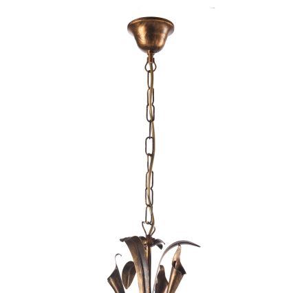 ONLI - Candelabro suspenso LUCREZIA 5xE14/6W/230V bronze